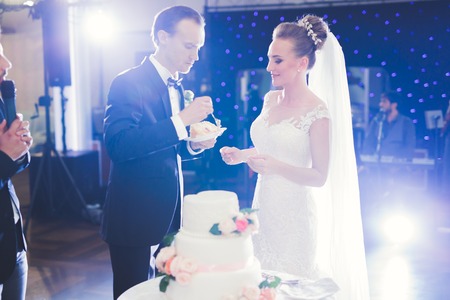 Bride and groom at wedding cutting the wedding cake