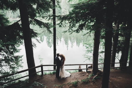 Newly married couple running and jumping in park while holding handsの写真素材