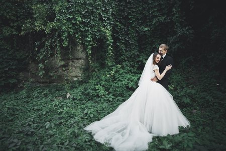 Beautiful romantic wedding couple of newlyweds hugging in park on sunsetの写真素材