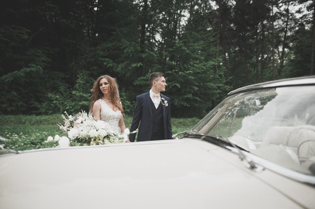 Stylish wedding couple, bride, groom kissing and hugging on retro carの写真素材