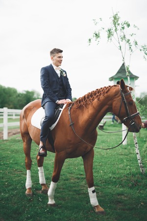 Bride and groom in forest with horses. Wedding couple. Beautiful portrait in natureの写真素材
