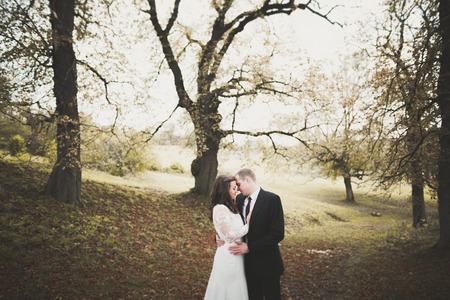 Romantic, fairytale, happy newlywed couple hugging and kissing in a park, trees in backgroundの写真素材