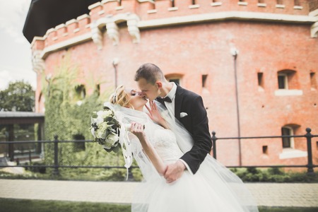 Perfect couple bride, groom posing and kissing in their wedding dayの写真素材