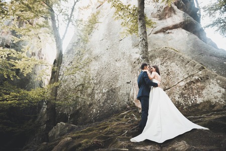 Gorgeous bride, groom kissing and hugging near the cliffs with stunning viewsの写真素材