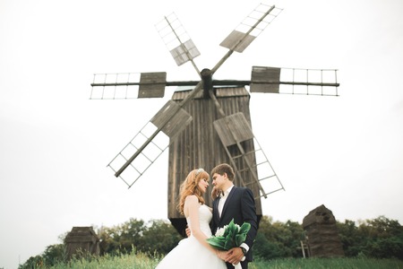 Lovely wedding couple, bride and groom posing in field during sunset