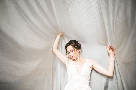Beautiful luxury bride in elegant white dress