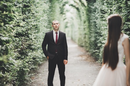 Stylish couple of happy newlyweds walking in the park on their wedding day with bouquetの写真素材