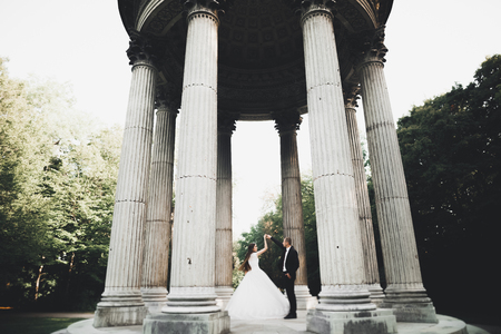 Happy wedding couple walking in a botanical parkの写真素材