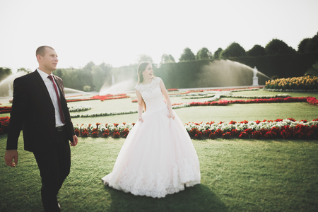 Perfect couple bride, groom posing and kissing in their wedding dayの写真素材