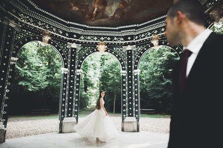 Perfect couple bride, groom posing and kissing in their wedding dayの写真素材