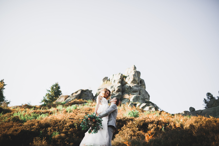 Romantic, fairytale, happy newlywed couple hugging and kissing in a park, trees in backgroundの写真素材