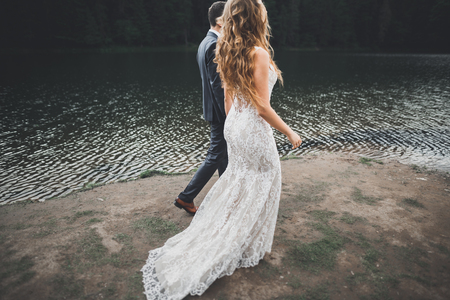 Wedding couple bride and groom holding hands.の写真素材