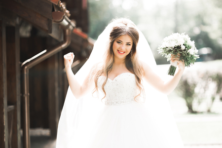 Portrait of a beautiful fashion bride, sweet and sensual. Wedding make up and hairの写真素材