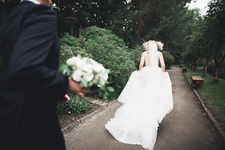 Romantic, fairytale, happy newlywed couple hugging and kissing in a park, trees in backgroundの写真素材
