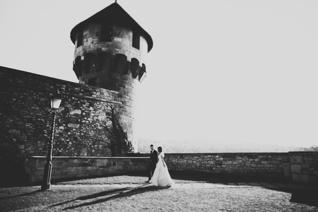 Beautiful romantic wedding couple of newlyweds hugging near old castleの写真素材
