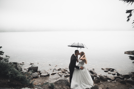 Perfect couple bride, groom posing and kissing in their wedding dayの写真素材