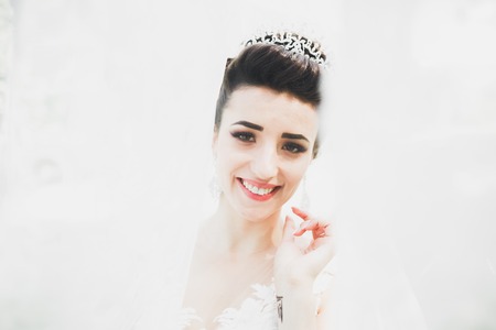 Beautiful fashion bride in wedding dress posingの写真素材
