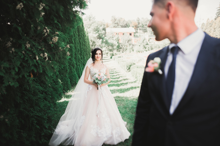 Happy wedding couple walking in a botanical parkの写真素材