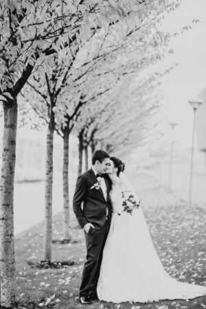 Newly married couple running and jumping in park while holding handsの写真素材