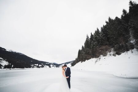 Kissing wedding couple staying over beautiful landscape.の写真素材