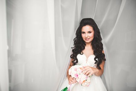 Beautiful luxury bride in elegant white dressの写真素材