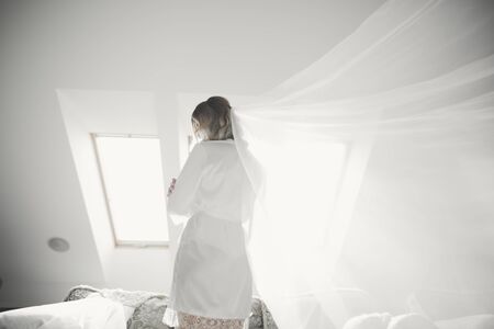 Beautiful luxury bride in elegant white dress.の写真素材