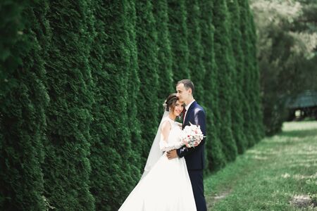 Wedding couple on the nature is hugging each other. Beautiful model girl in white dress. Man in suitの写真素材