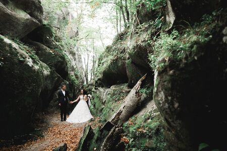 Happy wedding couple walking in a botanical park