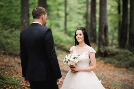 Close up of a nice young wedding coupleの写真素材