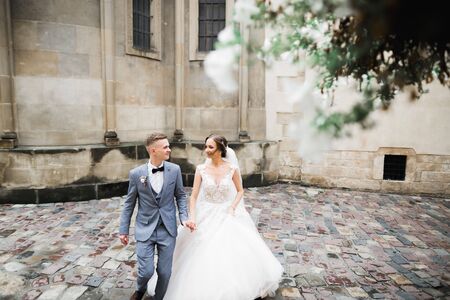 Wedding couple holding hands, groom and bride together on wedding dayの写真素材