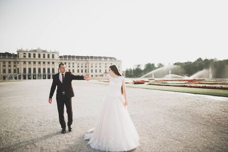 Lovely happy wedding couple, bride with long white dress.の写真素材