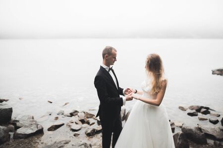Happy wedding couple staying over beautiful landscapeの写真素材
