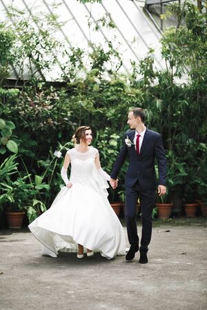 Wedding couple holding hands, groom and bride together on wedding day