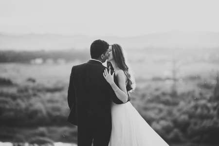 Beautiful bride and groom embracing and kissing on their wedding day outdoors.の写真素材