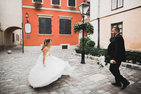 Perfect couple bride, groom posing and kissing in their wedding dayの写真素材