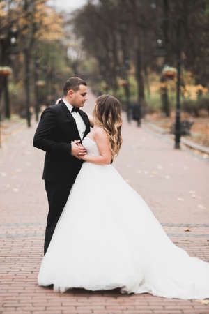 Perfect couple bride, groom posing and kissing in their wedding dayの写真素材