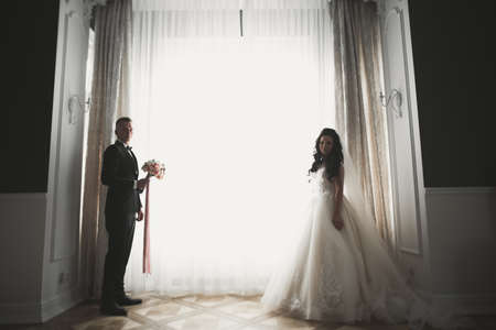 Perfect couple bride, groom posing and kissing in their wedding dayの写真素材