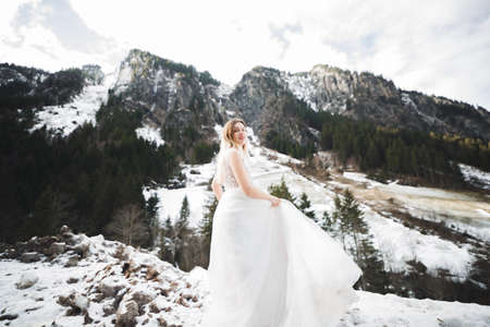 Beautiful bride spinning with perfect dress in the parkの写真素材