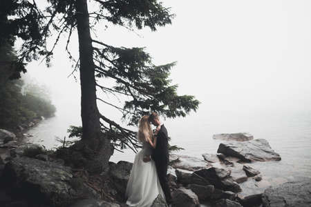Kissing wedding couple in spring nature close-up portraitの写真素材