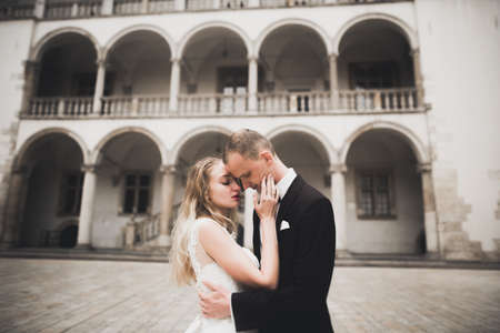 Perfect couple bride, groom posing and kissing in their wedding dayの写真素材