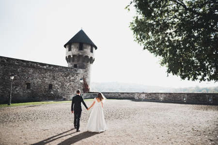 Beautiful romantic wedding couple of newlyweds hugging near old castleの写真素材