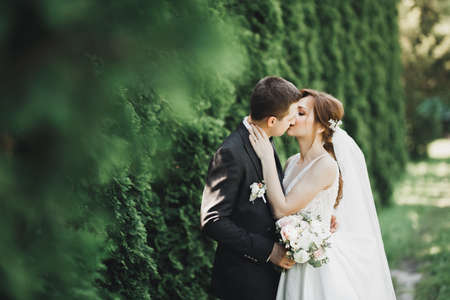 Beautiful bride and groom embracing and kissing on their wedding day outdoorsの写真素材