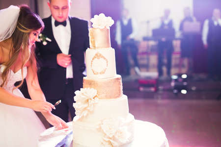 Bride and groom at wedding cutting the wedding cake