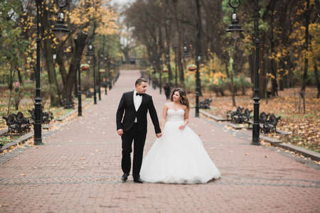 Wedding couple bride and groom holding handsの写真素材