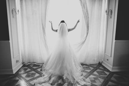 Beautiful bride wearing fashion wedding dress with feathers with luxury delight make-up and...
