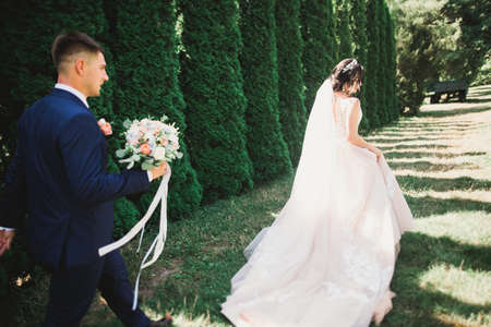 Happy wedding couple walking in a botanical parkの写真素材