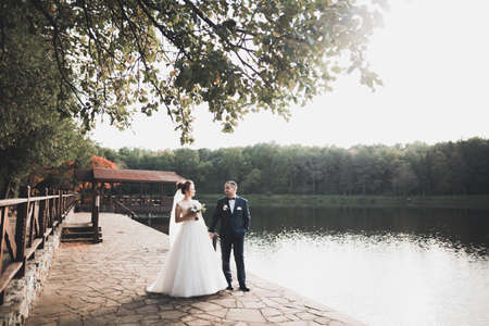 Kissing wedding couple staying over beautiful landscapeの写真素材