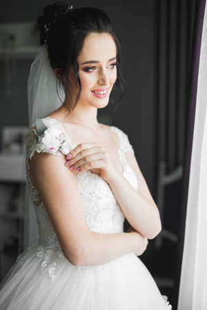 Gorgeous bride in robe posing and preparing for the wedding ceremony face in a roomの写真素材