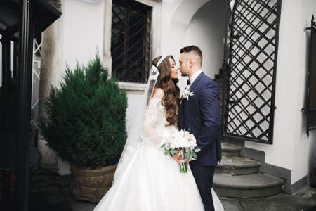 Romantic wedding moment, couple of newlyweds smiling portrait, bride and groom huggingの写真素材