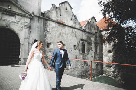 Sensual married couple, valentines hugging in front of old slavic castleの写真素材